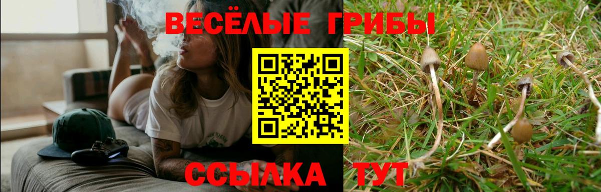 Галлюциногенные грибы мухоморы  Вход с VPN  Ухта  Псилоцибиновые грибы мухоморы 