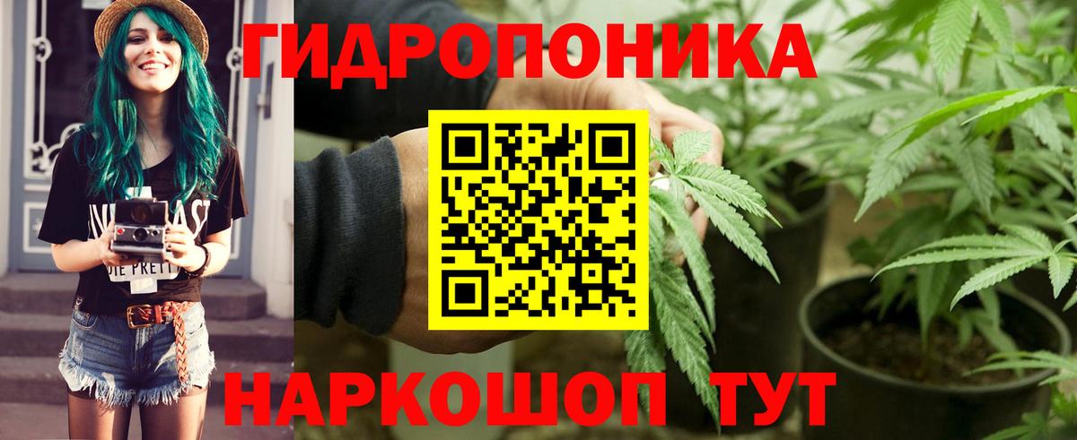 Конопля Ganja Ухта